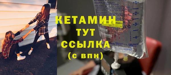 шишки Абаза