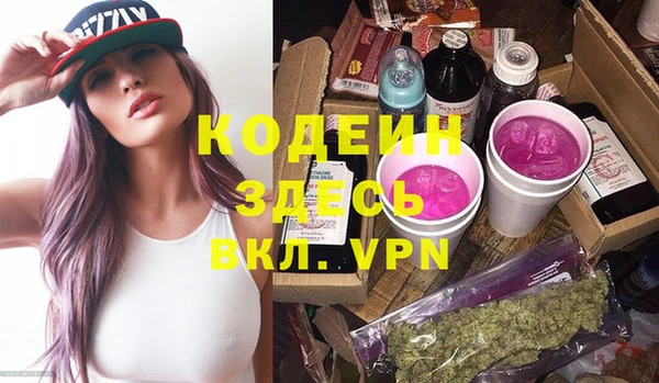 шишки Абаза