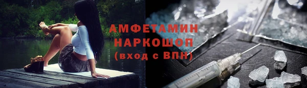 шишки Абаза