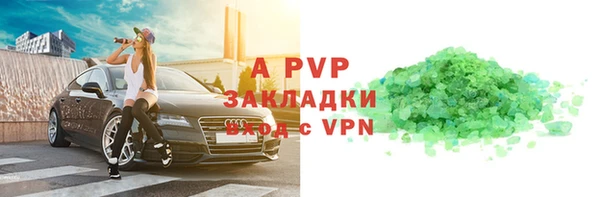 шишки Абаза