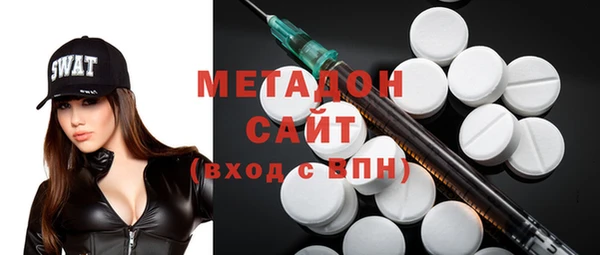шишки Абаза