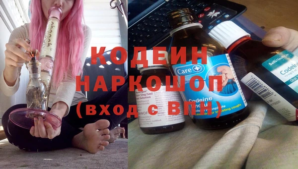 шишки Абаза