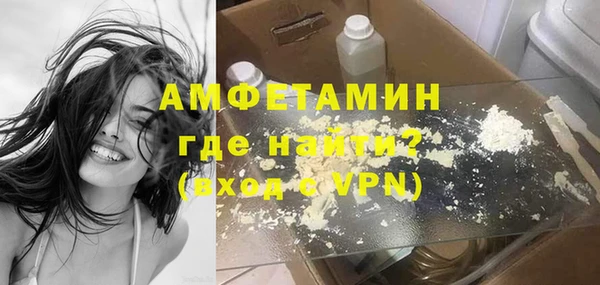 шишки Абаза