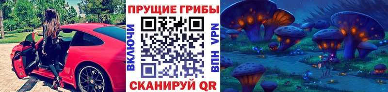 Псилоцибиновые грибы GOLDEN TEACHER  блэк спрут зеркало  Полтавская 